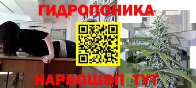ALPHA PVP Лесосибирск