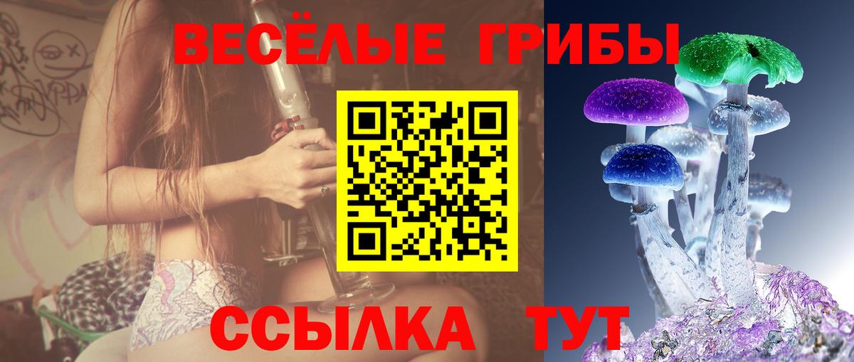 Сыктывкар  Псилоцибиновые грибы Magic Shrooms  Вход с VPN 