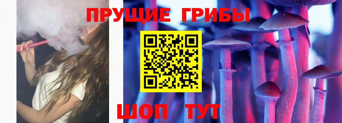 Галлюциногенные грибы Psilocybe Сыктывкар
